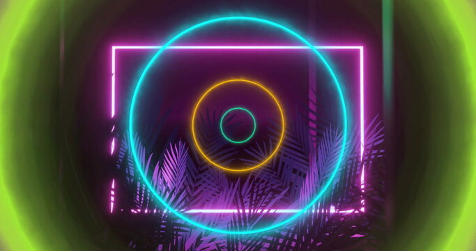 Illuminating studio neon pink square frame, cyan yellow rings, palm silhouettes, neon gradient halo