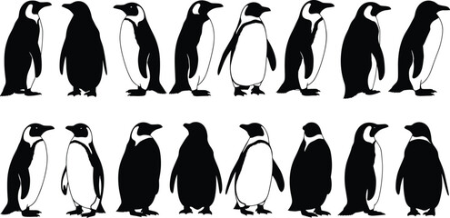 Penguin vector silhouettes, standing and walking penguin illustrations, black and white wildlife animals, Arctic creature icons, nature animal design collection
