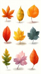 Obraz premium Colorful autumn leaves displayed in various shapes and shades on a light background