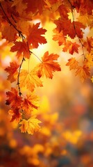 Fototapeta premium Autumnal foliage in vibrant colors