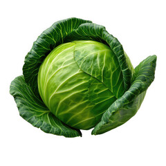 Fototapeta premium Fresh green cabbage isolated on transparent background