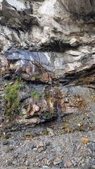 stream in the forest, rocks texture 