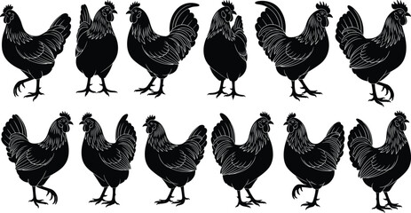 Set of black rooster silhouettes, farm bird vector collection, rooster poses in different angles, poultry animal illustration, farmyard bird clipart, rooster graphics design