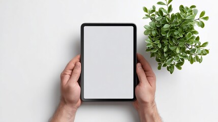 Hands holding a blank screen tablet next to a small leafy plant on a white surface