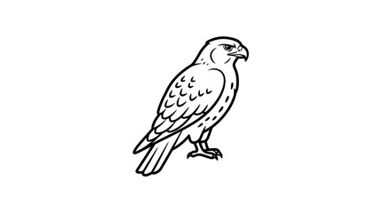 Fototapeta premium Elegant black and white falcon illustration, a symbol of power and freedom for your creative projects