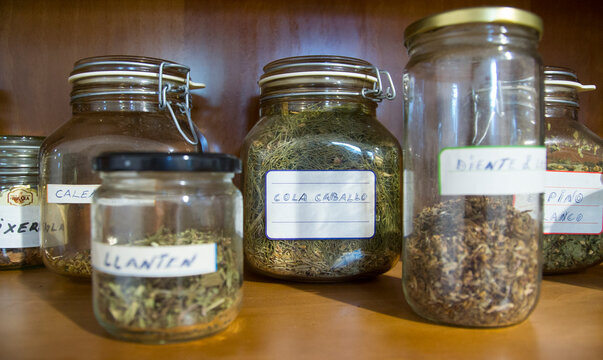 Alacena con hierbas medicinales en tarros de cristal.