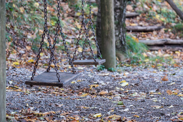 A rustic wooden swing with iron ropes hanging in a serene autumn forest. The image captures the beauty of fall and childhood nostalgia.