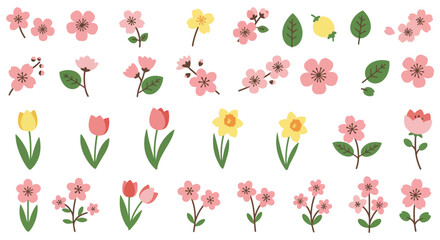A collection of colorful flowers and blossoms on white background