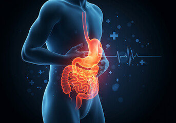 Medical 3D illustration of human digestive tract (stomach, intestines) with highlighted pain or inflammation, depicting gastrointestinal issues
