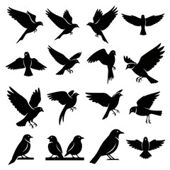 Obraz premium A collection of various bird silhouettes, depicting different species in flight and perched positions.