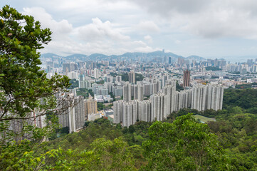 View of Hong Kong and Kowloon from Lion Rock Head. Panorama of Hong Kong, skyscrapers and nature.
