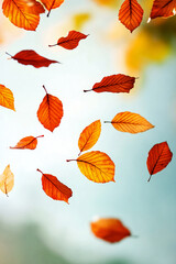 Falling autumn leaves in various colors on a blurred background. Concept of fall, nature, simple, minimalist.