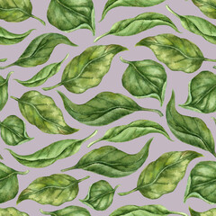 Seamless watercolor background of green lemon tree leaves on gray dusty pink realistic botanical hand painting