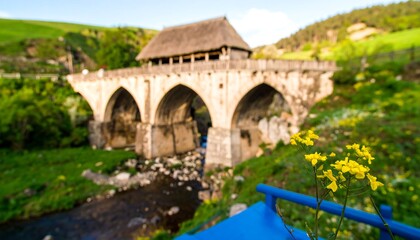 Fototapeta premium Old stone bridge over a river, thatched cottage in the background, soft focus