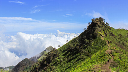 Fototapeta premium Ridge Trail Above the Clouds at Mount Merbabu, Central Java, Indonesia