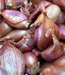 Pile of colorful organic shallots