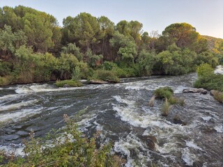 2025-07 - Río Jándula - Sierra Morena