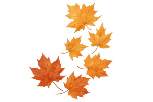 Six orange maple leaves falling down on a transparent background, perfect for autumn-themed designs