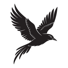 Fototapeta premium Black silhouette of a bird in flight with wings spread wide flying