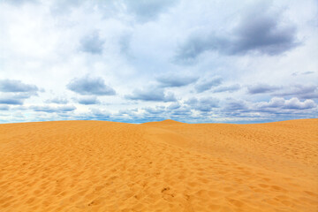 Vast expanse of golden sand rises gently under a dramatic, cloudy sky at the Dune of Pilat in France. Undulating dune stretches toward the horizon, rippled surface highlighted by diffused daylight