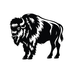 Obraz premium Elegant Black and White Bison Illustration on a White Background, Classic Design