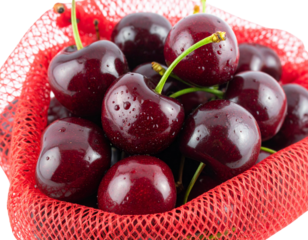 Mesh Bag of Cherries with Water Droplets, Angled Front View, Isolated