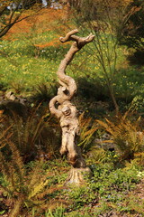 old tree trunk © Jenn's Photography 