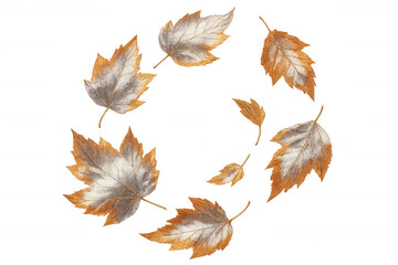 Obraz premium Watercolor painting of autumn leaves rotating on transparent background, creating a circular frame with copy space