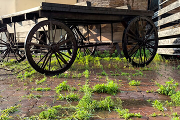 Fototapeta premium Old wooden cart on wet brick pavement with green weeds