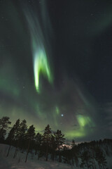 Strong explosion of green aurora borealis sweep across a star-speckled Arctic sky, painting the night with nature most mesmerizing light show. Norwegian sky show