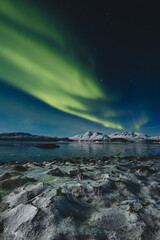 Aurora Borealis glows above Norway Malangen Fjord in Troms, painting the starry night with green light. Snow-covered peaks and icy shores create a true Arctic dreamscape