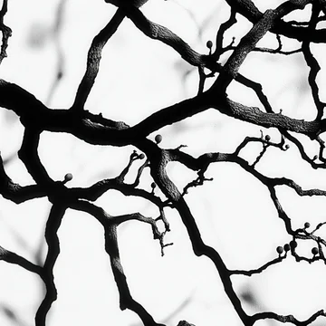Gobo texture shadows oak limbs with textured bark patterns