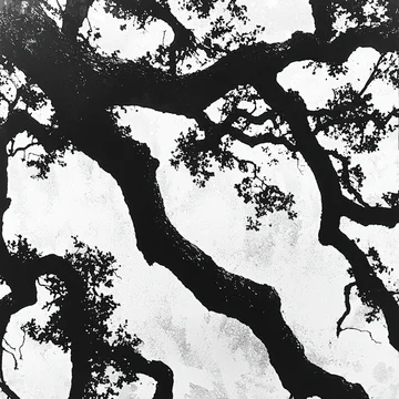 Gobo texture shadows sprawling oak branches and seed pods