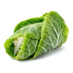 Obraz premium Fresh cabbage leaf wrapped around white rice