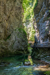 The beautiful Vintgar Gorge near Bled in Slovenia, Europe