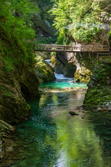 The beautiful Vintgar Gorge near Bled in Slovenia, Europe