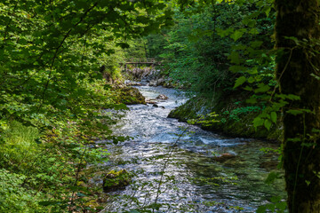 The beautiful Vintgar Gorge near Bled in Slovenia, Europe