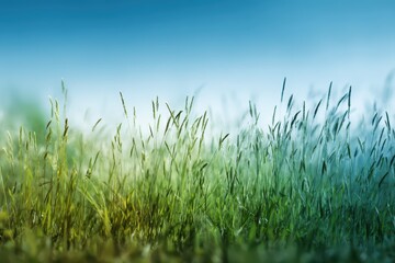 Fototapeta premium Bright spring meadow features lush green grass under a clear blue sky creating a serene natural atmosphere