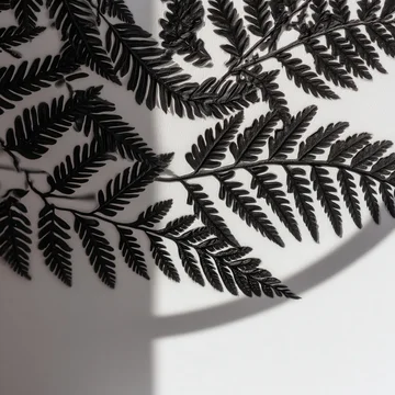 Gobo texture shadows bold black fronds on white background