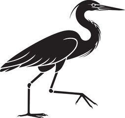 Obraz premium Elegant black heron walking gracefully bird white vector