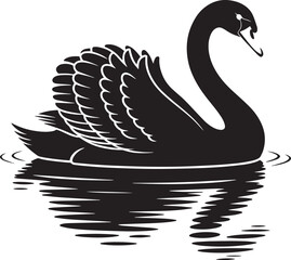 Fototapeta premium Elegant black swan swimming on water with reflection bird