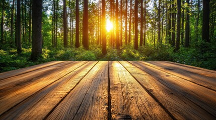 Obraz premium Wooden deck in a sunlit forest
