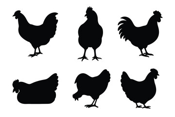 Chicken silhouette set isolated on white background  