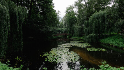 Obraz premium tranquil park with pond and wooden bridge
