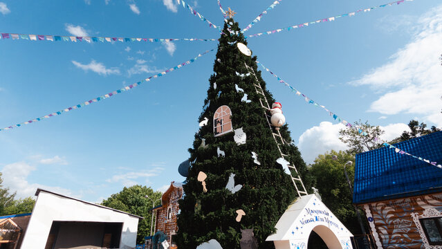 a green Christmas tree in the summer under a blue sky
