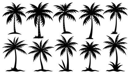 Palm tree  black silhouette vector set,Palm tree  icon set