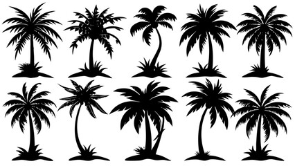 Palm tree  black silhouette vector set,Palm tree  icon set