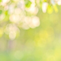 Obraz premium Blurred spring blossoms and foliage