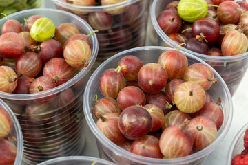 Gooseberries in vibrant plastic cups. A bountiful harvest of fresh gooseberries ready for jam making and winter preparations. A delightful mix of gooseberry varieties in containers at the market.