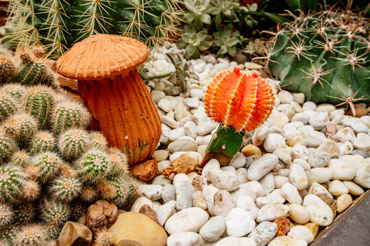 Colorful cactus arrangement featuring vibrant orange cactus and decorative mushroom surrounded by smooth pebbles and lush greenery in a serene setting